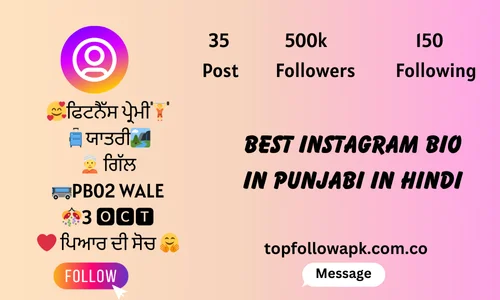 best instagram bio in punjabi in hindi