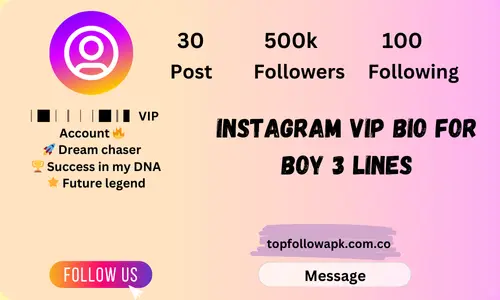 instagram vip bio for boy 3 lines