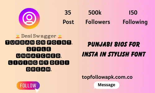 punjabi quotes for instagram bio