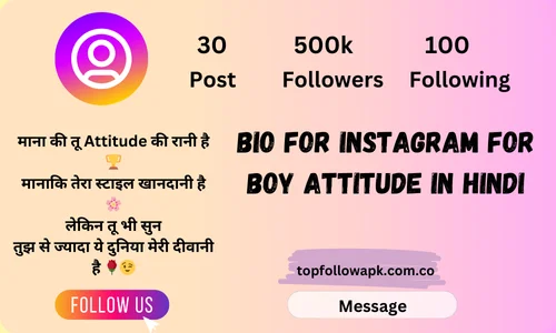 bio for instagram for boy attitude in hindi