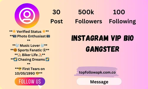 Instagram Vip Bio Gangster