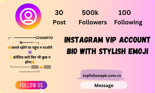 Instagram VIP Account Bio with Stylish Emoji