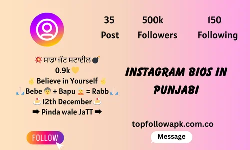 Instagram Bios in Punjabi