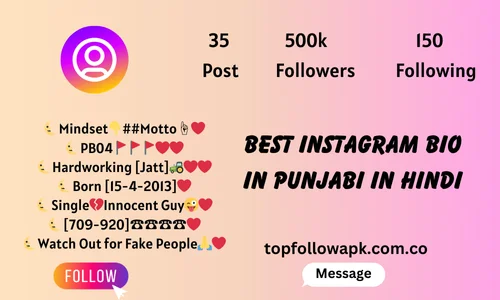 Instagram Bio For Boys In Punjabi