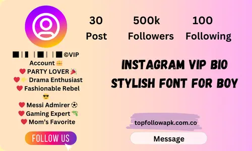 instagram vip bio stylish font for boy