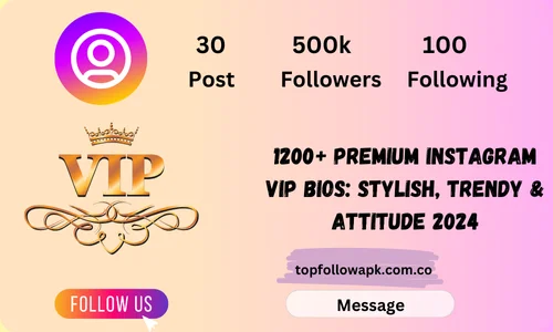 1200+ Premium Instagram VIP Bios: Stylish, Trendy & Attitude 2024