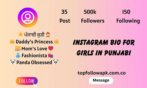 Instagram Bio for Girls in Punjabi