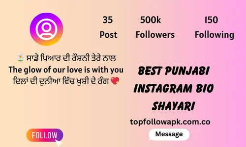 Best Punjabi Instagram bio shayari