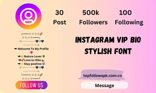 Instagram Vip Bio Stylish Font