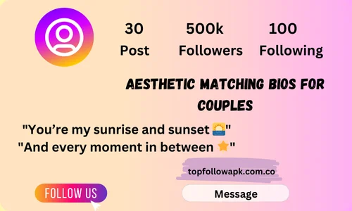 aesthetic matching bios for couples