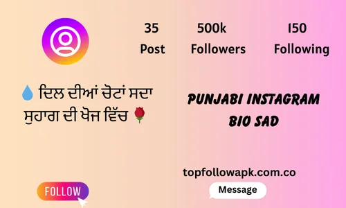 punjabi instagram bio sad