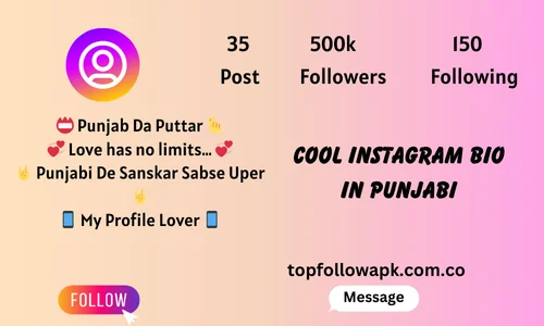 Cool Instagram Bio In Punjabi