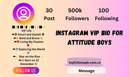 Instagram Vip Bio for Attitude Boys