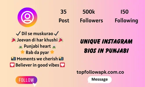 Unique Instagram bios in Punjabi