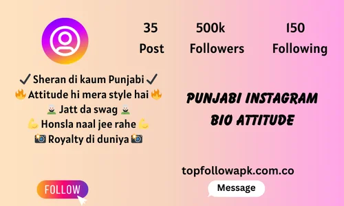 punjabi instagram bio attitude