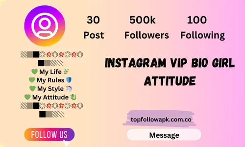 Instagram Vip Bio Girl Attitude