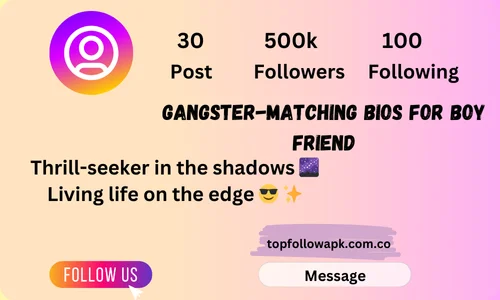 gangster-matching bios for boy friend