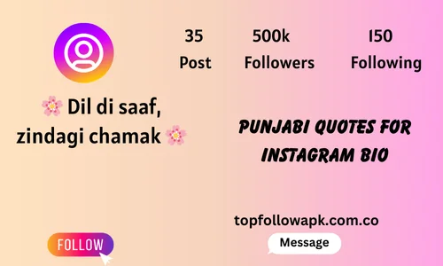 punjabi quotes for instagram bio