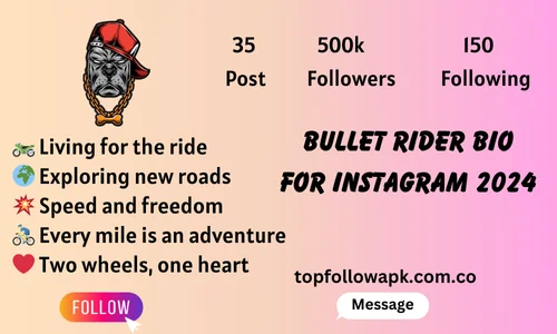 Bullet rider bio for instagram 2024