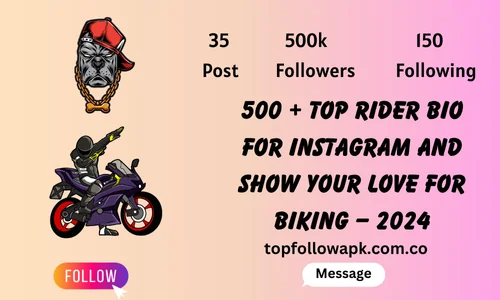 500 + Top Rider Bio For Instagram