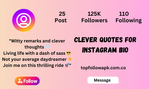 Clever Quotes for Instagram Bio